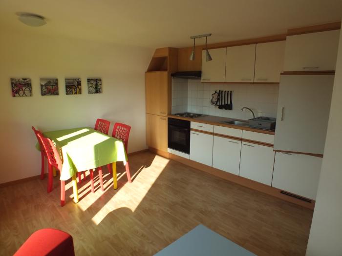 Room in owner's house