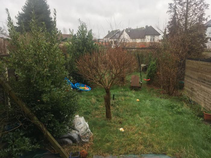 Kot chez l'habitant