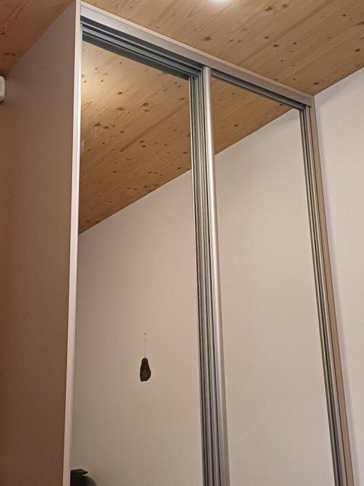 kot chez l'habitant
