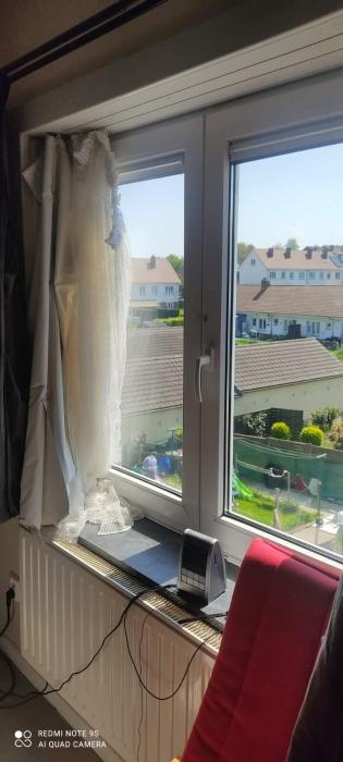 kot chez l'habitant