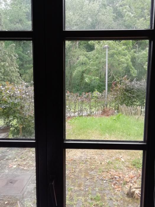 Vue jardin