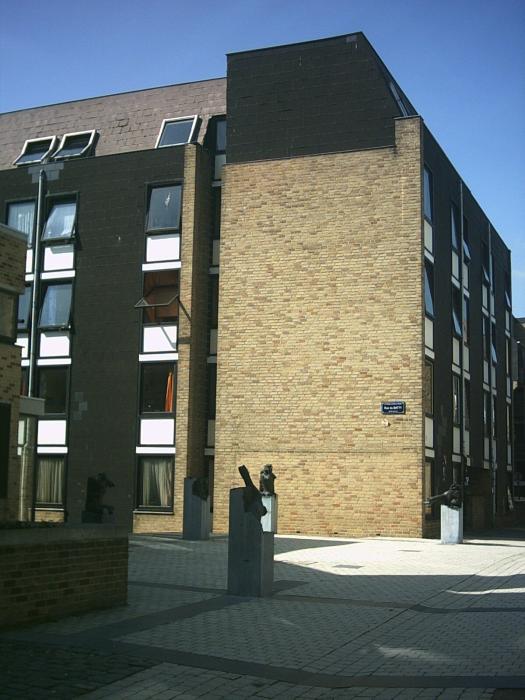 Kot