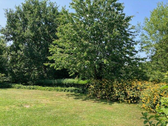 Jardin privatif