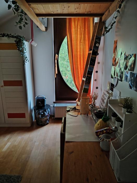 Room in owner's house
