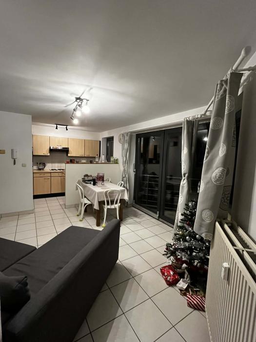 Cuisine-séjour avec salon-sam