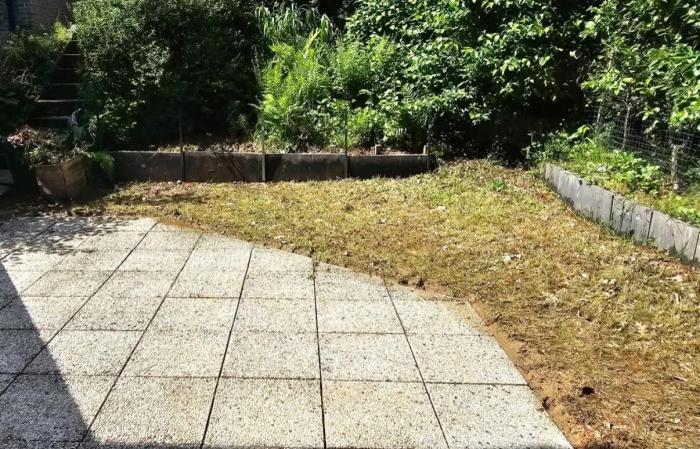 Terrasse - Jardin