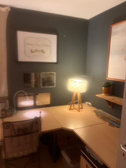 Room in owner's house