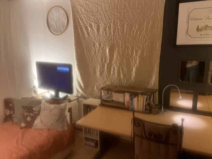 Room in owner's house