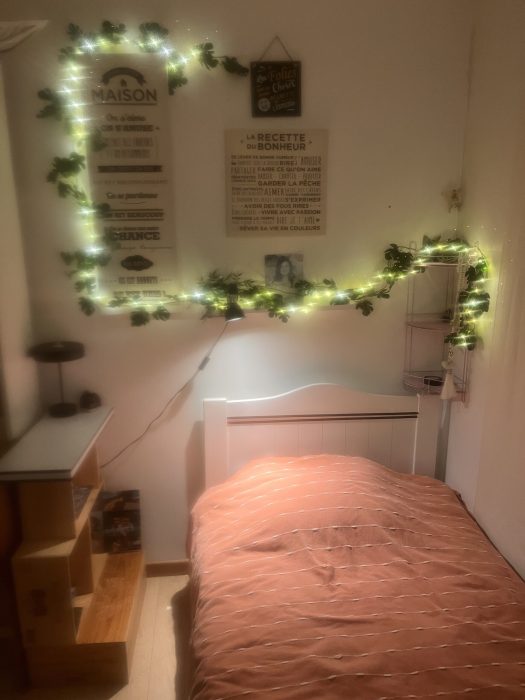 Room in owner's house