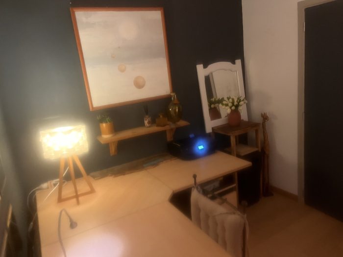 Room in owner's house