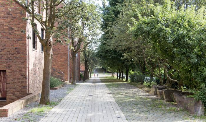 Residence room 15 m² in Louvain-La-Neuve Blocry