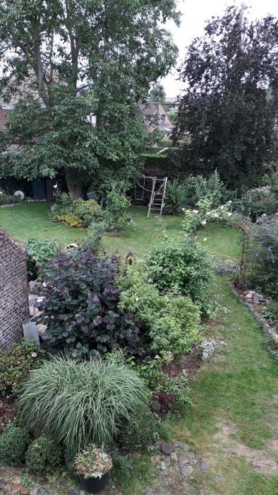 kot chez l'habitant