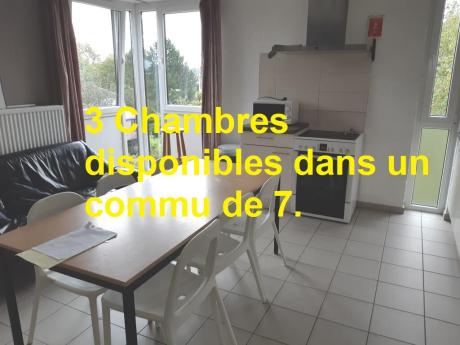 Kot 11 m² à Louvain-La-Neuve Biéreau