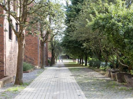 Residence room 15 m² in Louvain-La-Neuve Blocry