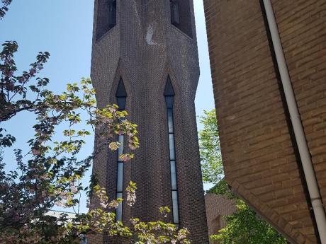 Kot 10 m² in Louvain-La-Neuve L'Hocaille